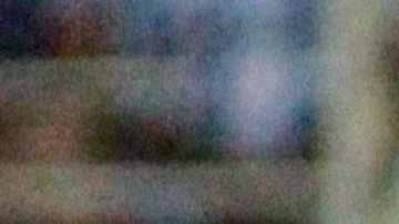 Borja (al centro) podría ser el último refuerzo celeste.