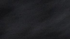 Gato con rata de laboratorio.