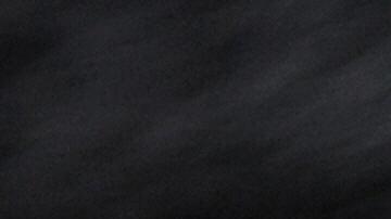 Gato con rata de laboratorio.