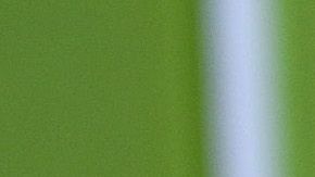 Foto: Joshua Blanchard/Getty Images