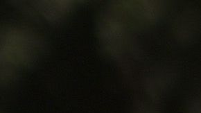 Activistas han aumentados las protestas contra el racismo.