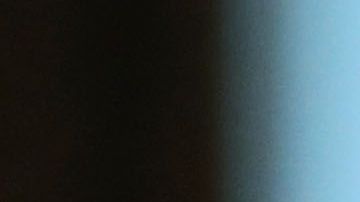 Bolton escribiría que comunicó que Trump tenía favores personales con líderes autoritarios.