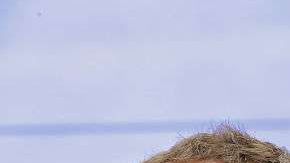 El CEO de facebook se ha planteado metas para la próxima década.