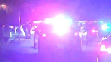 No se ha revelado la razón que causó el argumento.