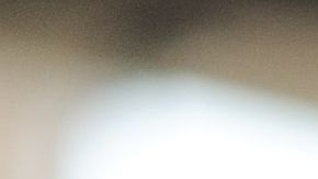 Lookhart también es culpable de fraude por asistencia médica y de robo.