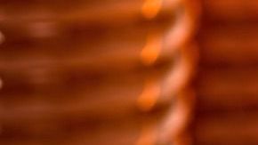 El consumo de miel con ajo en ayuno es un gran aliado para fortalecer al sistema inmunológico.