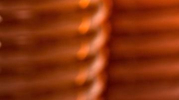 El consumo de miel con ajo en ayuno es un gran aliado para fortalecer al sistema inmunológico.