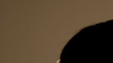 Depredadores sexuales en línea.