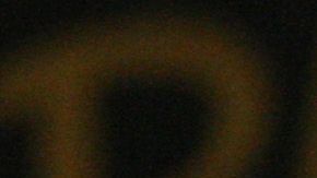 Imago-288204