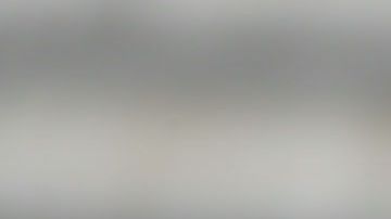 Ambos jugadores han estado en la polémica con el Tri.