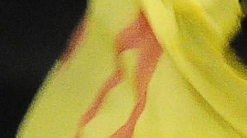 El conductor de televisión revela su pasado.