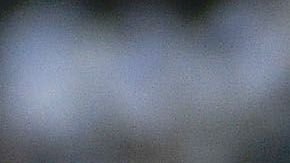 El programa se transmitirá el 1 de febrero.