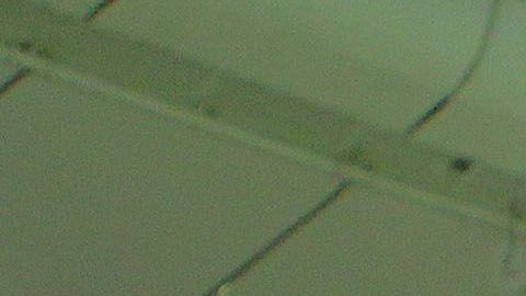 Almeyda dirigió a Chivas de 2015 a 2018