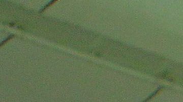 Almeyda tendrá su segunda temporada al frente de San José Earthquakes.