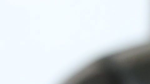 Rafa llega de vuelta a la Primera División.