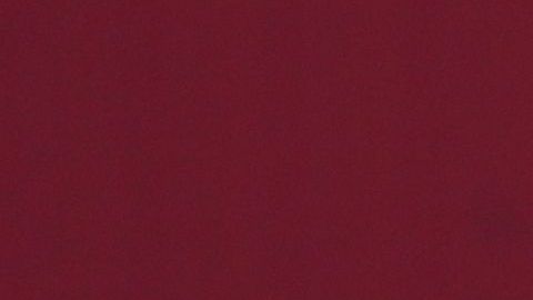 Andrés Manuel López Obrador, Presidente de México.