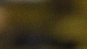 Xolos y América se enfrentan en la fecha 3 del Clausura 2020.