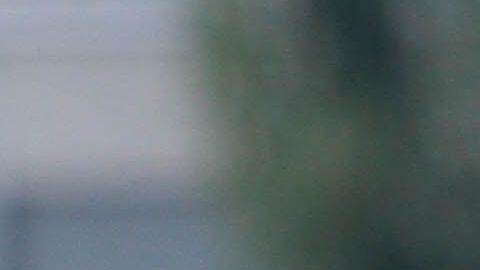 Guido Rodríguez empezará una nueva etapa en Europa.