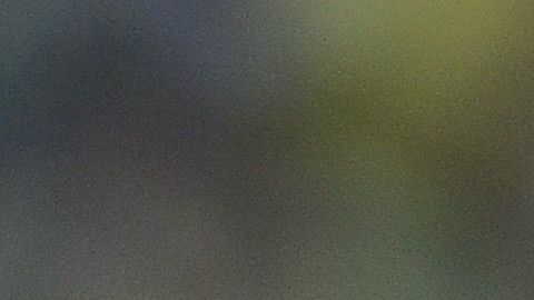 Miguel Herrera es uno de los técnicos más exitosos en la historia del América.