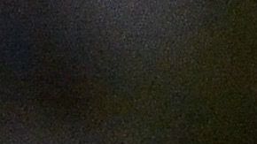 Federico Viñas fue la sorpresa de América en el torneo.