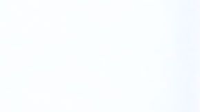 Azcárraga escucho a los hinchas y el América entrenará en el Azteca.