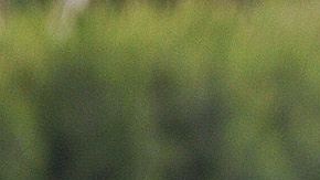 Peláez aseguró la continuidad de Tena.