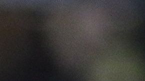 Santiago Baños es el director deportivo del América