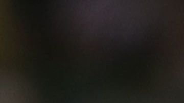 'Pocho' había llegado como refuerzo al 'rebaño'.