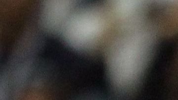 Rogelio Funes Mori fue elegido por la Liga MX como el mejor jugador del Apertura 2019.