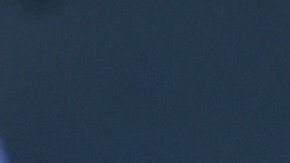 Almeyda y Alanís fueron campeones con Chivas 2017.