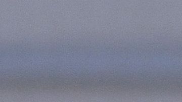 América femenil cumplió 100 partidos.