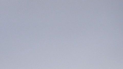 El artillero llegaría al equipo donde juega Tiago Volpi, otro conocido de la Liga MX.