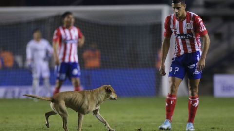 El canino le puso sabor a la primera parte del encuentro.