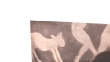 En la inauguración de la exposición, la curadora Rachel Kaplan, de LACMA.