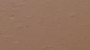 Jorge Campos, un inmigrante mexicano emprendedor. (Araceli Martínez/La Opinión)