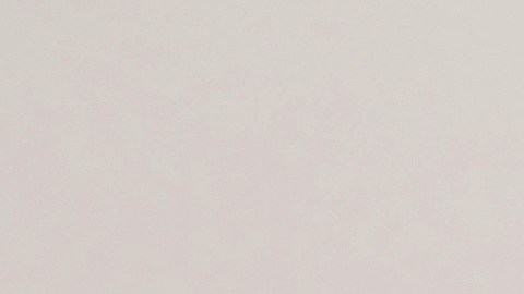 Idalis es entrenadora personal certificada por la Academia Nacional de Medicina del Deporte (NASM).