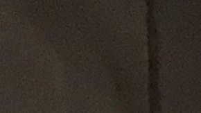 Las primeras líneas que han hecho el cambio es la azul y la Expo.