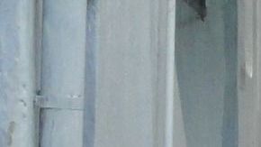 Las inundaciones podrían aumentar en los próximas años en Florida.