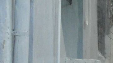 Las inundaciones podrían aumentar en los próximas años en Florida.