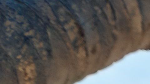 Playas más tranquilas del mundo / Créditos: Viktor Gladkov vía Getty