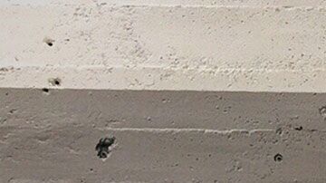 Una de las condiciones es que los chicos estén dispuesto a reunirse con sus familias y las familias con ellos.