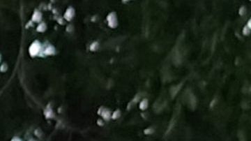 Justin Bieber se confesó en Instagram.