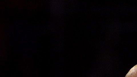Kobe Bryant falleció junto a su hija y siete personas más.