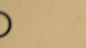 Los niños aparecieron con la clásica máscara del legendario gladiador azteca.