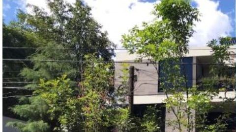 Residencias en las Lomas de Chapultepec.