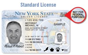 Corte procesa demanda contra ley de licencias para indocumentados en Nueva York