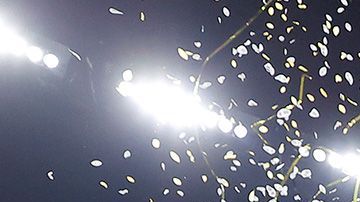 LSU gana su cuarto campeonato nacional.