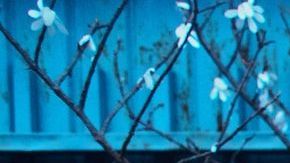 5 lugares en el mundo que debe conocer todo fan de Frida Kahlo / Créditos: Fotógrafo Camila Cordeiro vía Getty