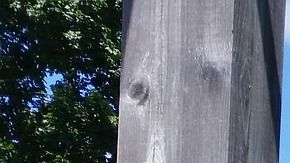 Descubre como se moverá el mercado inmobiliario de lujo esta 2020.