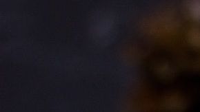 manzana-canela-pxhere